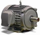 Teco Westinghouse Motor Distribuidor 